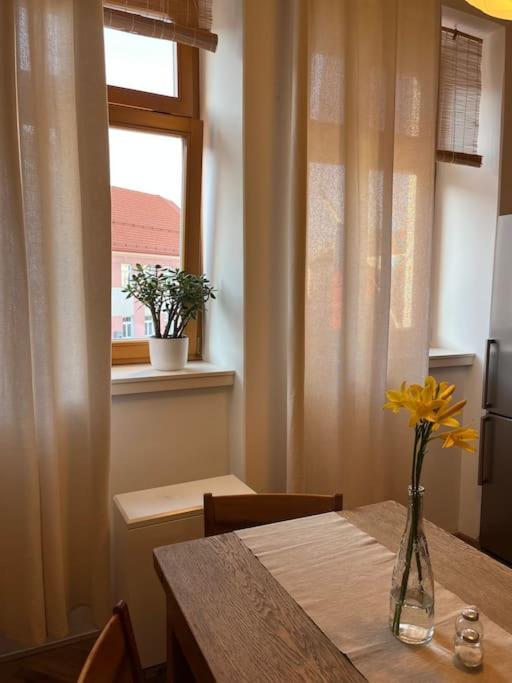 Apartman Pod Valdickou Branou Jičín Extérieur photo